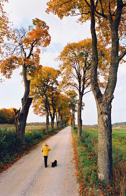 photo "Walk behind city" tags: landscape, autumn