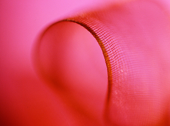 photo "curve" tags: abstract, still life, 