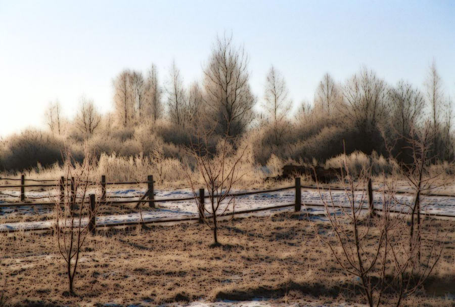 фото "Утро" метки: пейзаж, фотомонтаж, лес