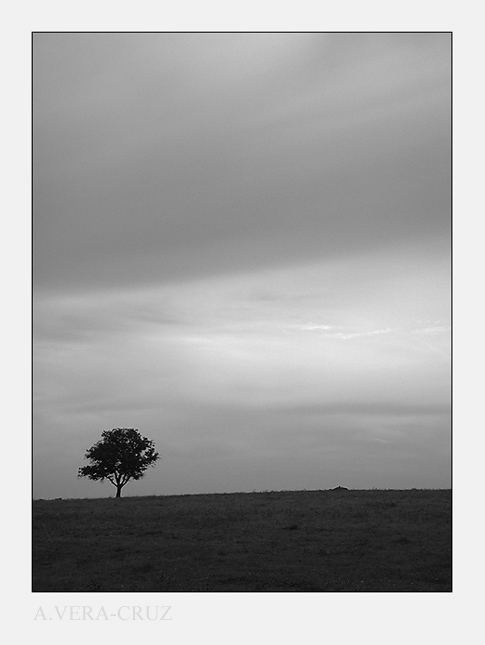 photo "Loneliness is grey" tags: landscape, 