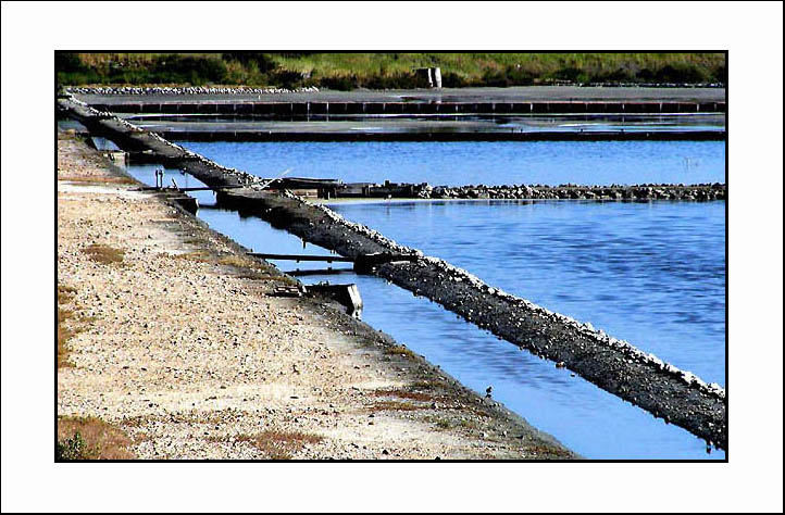 photo "Water Ponds" tags: landscape, water