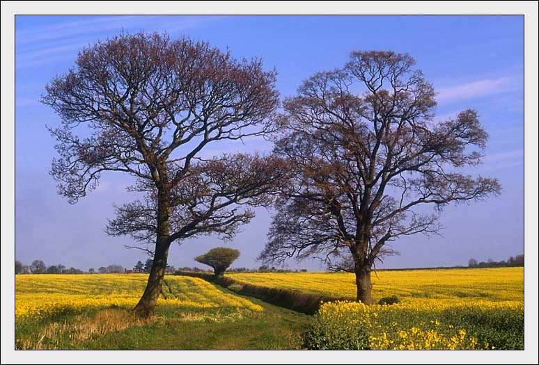 фото "Spring Landscape, Buckinghamshire" метки: путешествия, пейзаж, Европа, лето