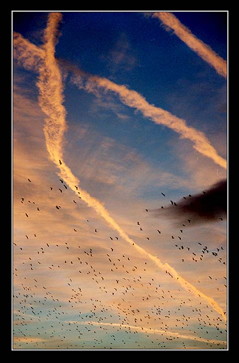 фото "Воздушная живопись по закатному холсту" метки: разное, 