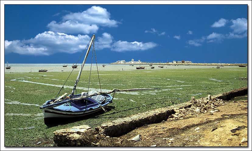 фото "Blue Boat, Tunesia" метки: пейзаж, путешествия, Африка, вода