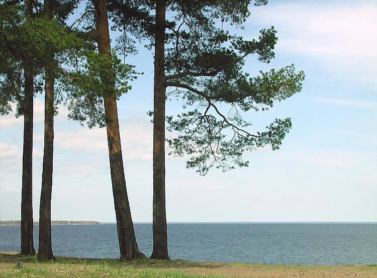 фото "Ladoga (3)" метки: пейзаж, вода