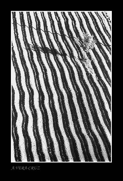 photo "Diagonals" tags: abstract, landscape, 