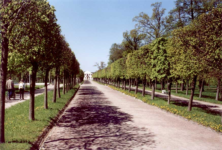 photo "Perspective Alley" tags: landscape, 