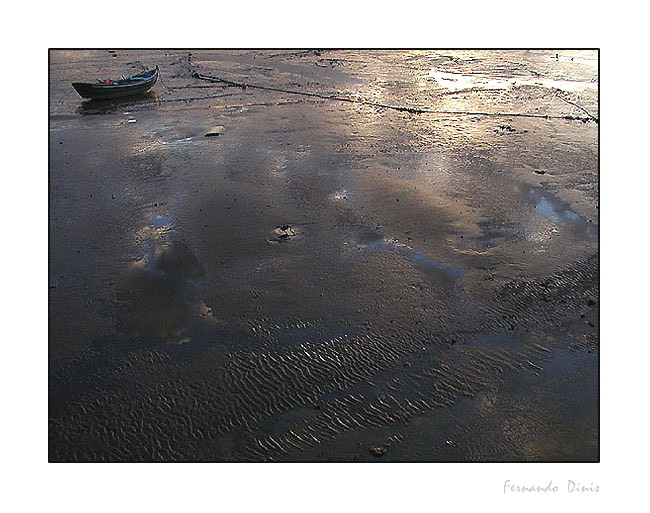photo "Alone" tags: landscape, water