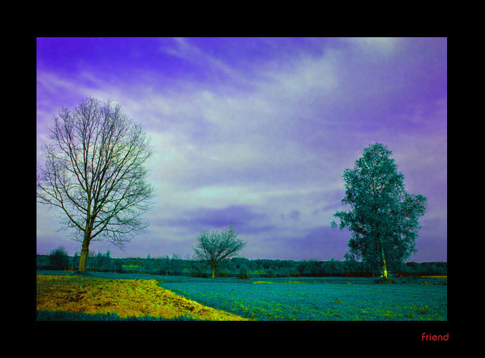 photo "A very strange weather" tags: montage, landscape, spring