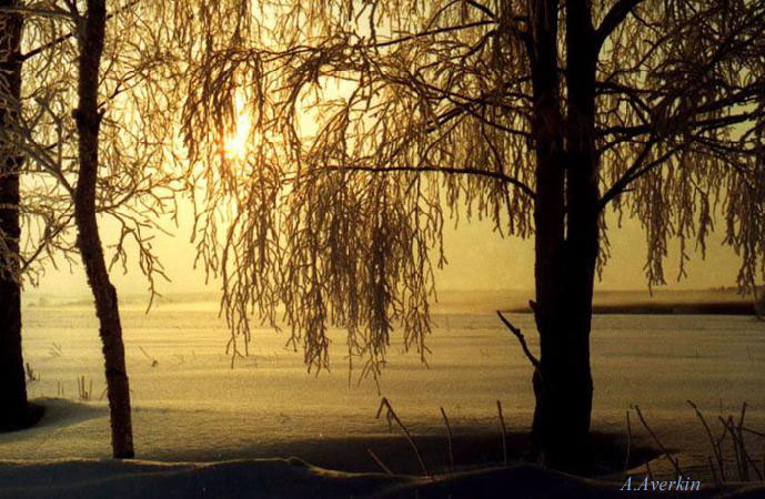 photo "Winter foggy morning - 2" tags: landscape, sunset, winter