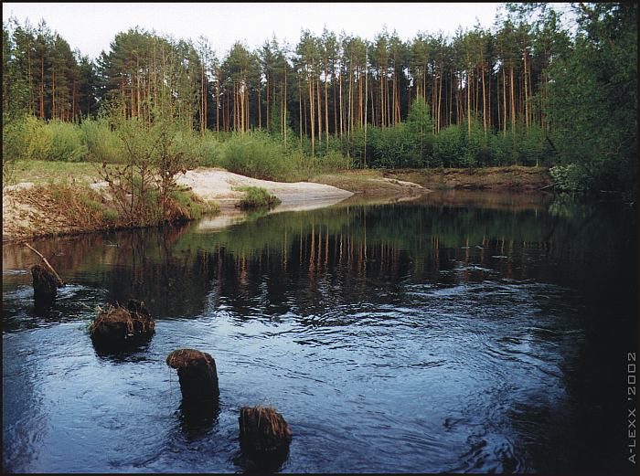 photo "The wood river" tags: landscape, forest, water