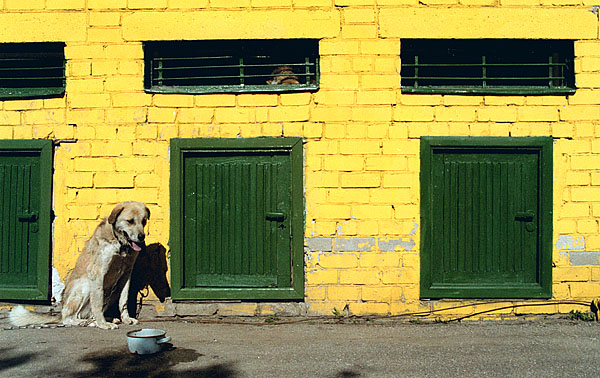 фото "Hot summer of 2002" метки: натюрморт, 