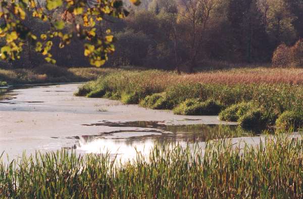 photo "Silence..." tags: landscape, nature, summer