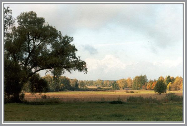 photo "Уж небо осенью дышало" tags: landscape, autumn