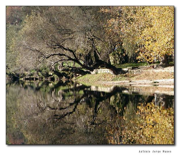 photo "Fall Reflections" tags: landscape, nature, water