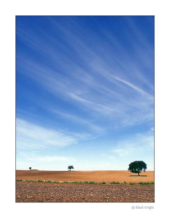 photo "Trilogy of Alentejo" tags: landscape, clouds