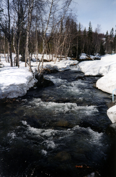 photo "Soon spring" tags: landscape, water, winter