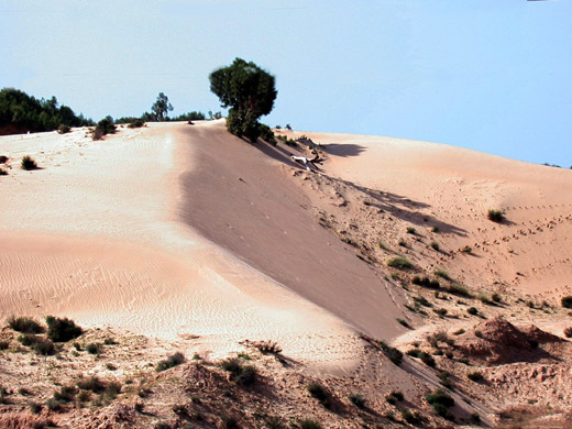 photo "Dunes 3" tags: landscape, travel, Africa