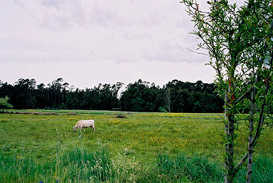 photo "Landscape 2" tags: landscape, spring