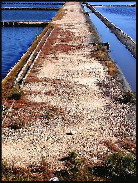 photo "Straight Ahead" tags: landscape, water