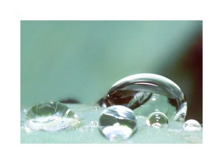 photo "Drops" tags: macro and close-up, 