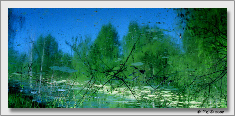 фото "В саду у русалки" метки: природа, пейзаж, вода, цветы