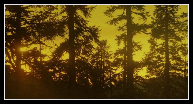 фото "Закат в предгорьях Невады" метки: пейзаж, закат