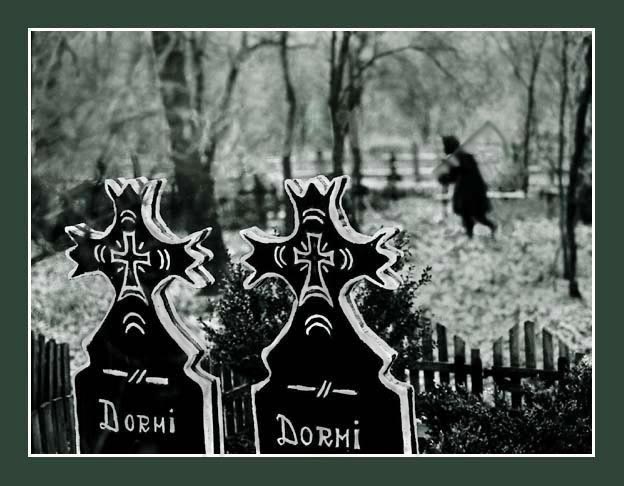 photo "-//-" tags: genre, 