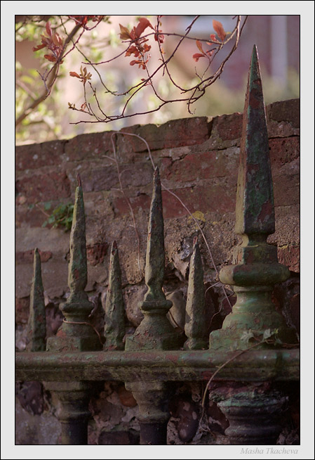 photo "Old Fence" tags: misc., still life, 