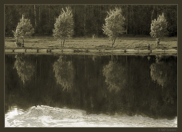 фото "Один" метки: пейзаж, вода, лес