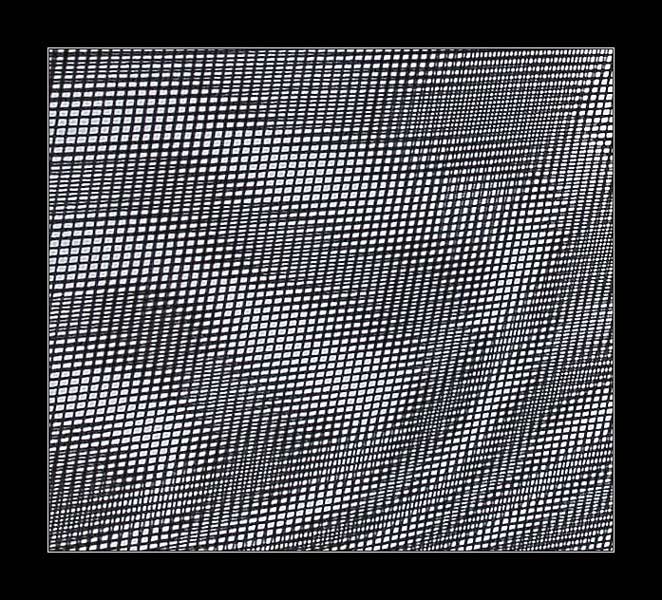 photo "Dizziness..." tags: misc., 