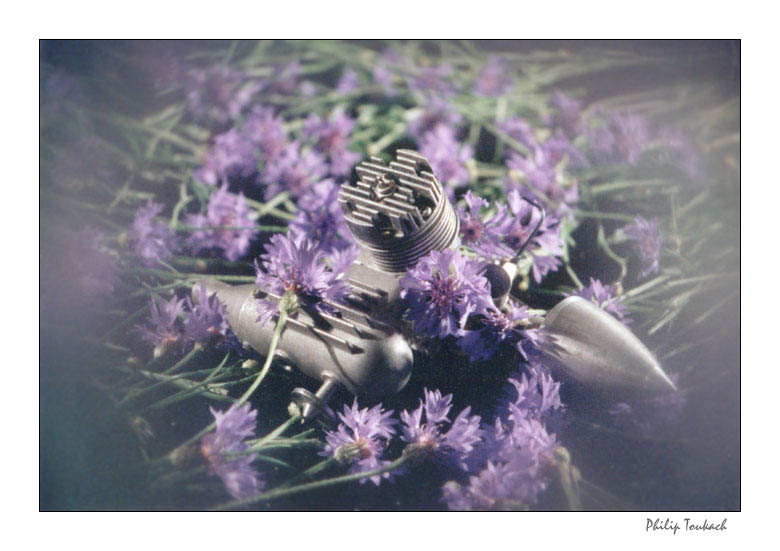 photo "Oblivion" tags: still life, 