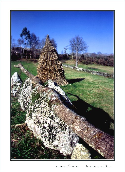 фото "rural landscape" метки: пейзаж, путешествия, Европа