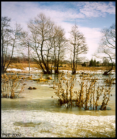 photo "Spring high water" tags: landscape, spring, water