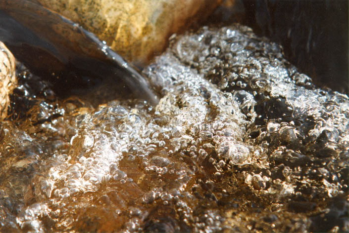 photo "stream" tags: macro and close-up, 