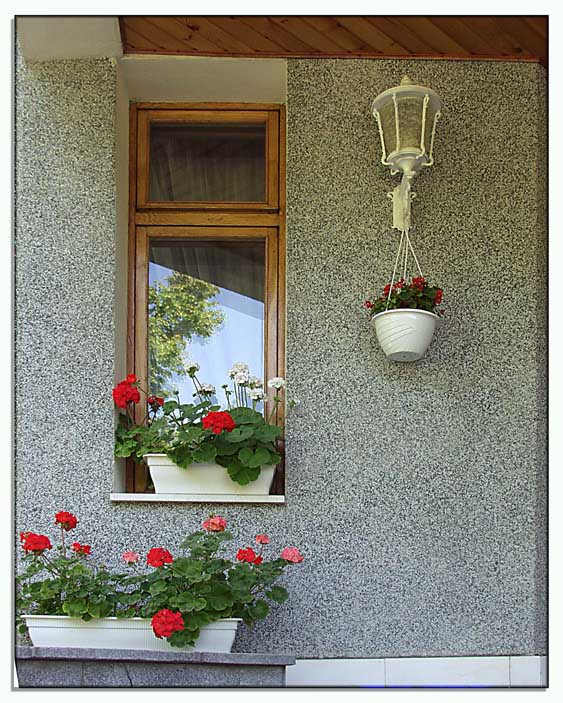 photo "The window" tags: misc., 
