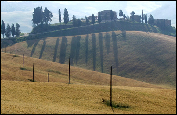 фото "Toscana 1a" метки: пейзаж, лето