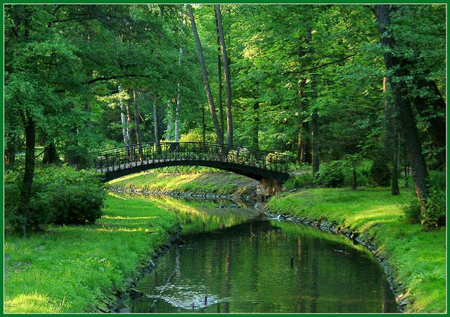 photo "Bridge" tags: landscape, nature, flowers, forest