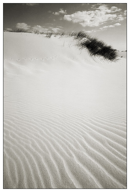 фото "Life - sand ?" метки: пейзаж, 