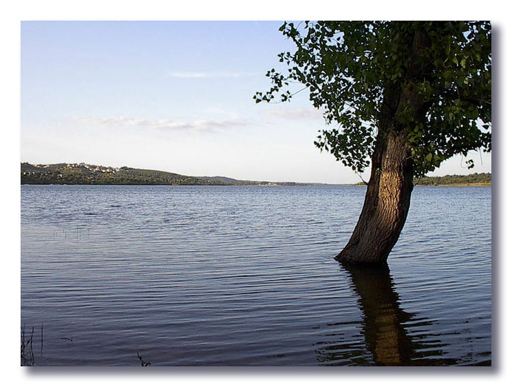 фото "Water for all" метки: пейзаж, природа, вода, цветы