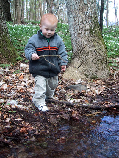 фото "dennis in the woods" метки: разное, 