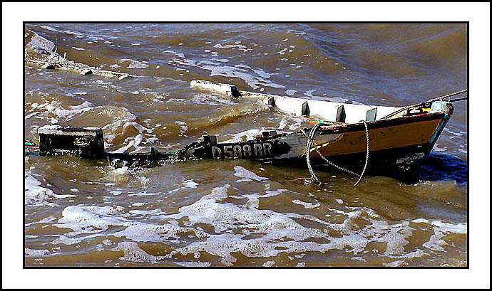 фото "Feeling Wet ..." метки: пейзаж, юмор, вода