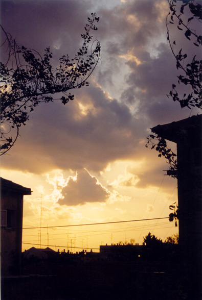 photo "Untitled photo" tags: landscape, sunset