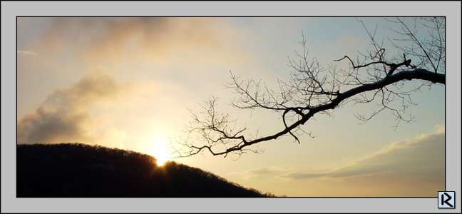 photo "Black lightning" tags: nature, landscape, flowers, spring