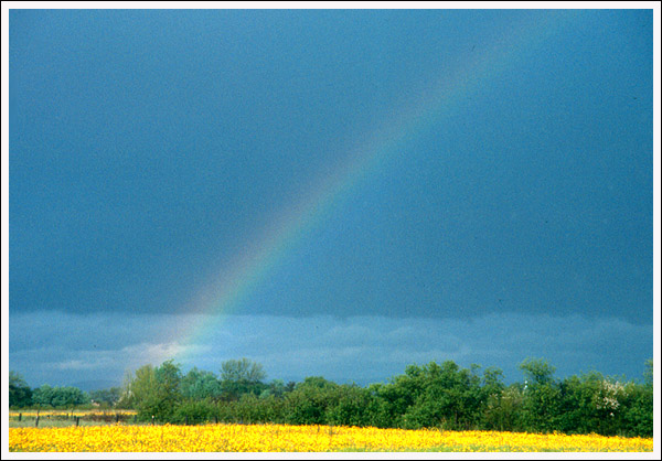 photo "Rainbow" tags: landscape, spring