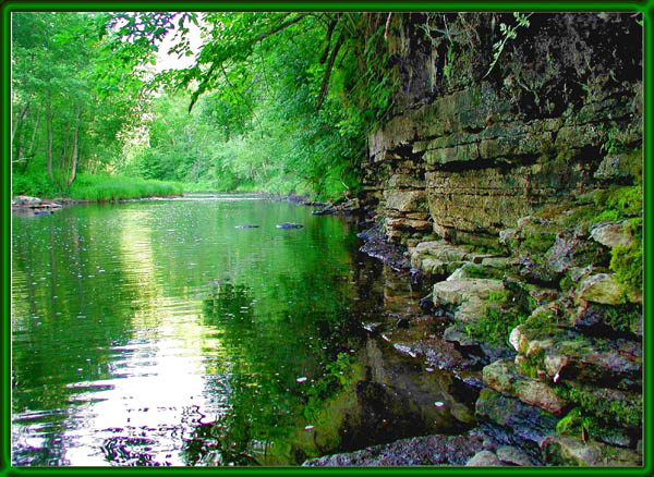 photo "Green river" tags: landscape, summer, water