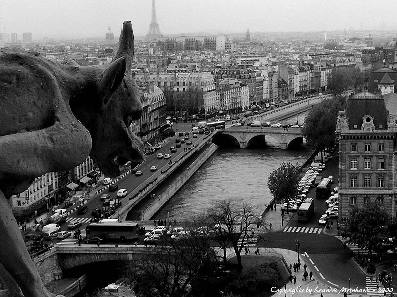 фото "Gargoyles Over Paris" метки: путешествия, архитектура, пейзаж, Европа