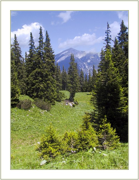 photo "*****" tags: landscape, mountains, summer