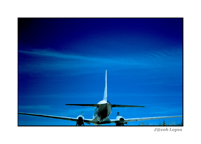 photo "to rise in the air with wings" tags: landscape, 