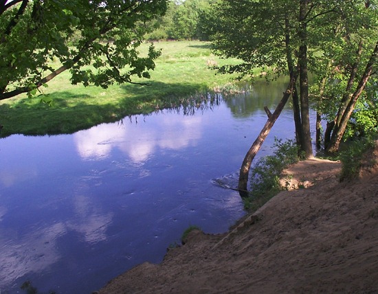 photo "In the shadow" tags: landscape, forest, water